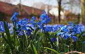 Frühling im Fläming