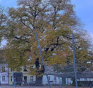Häuserfront am Neuen Markt in Neuruppin