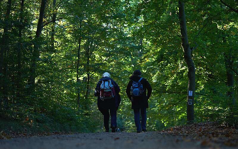 Fontane Wandermarathon 2021