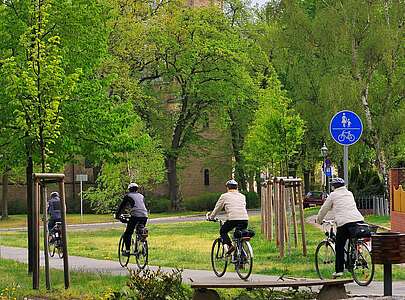 Cyclist in Birkenwerder