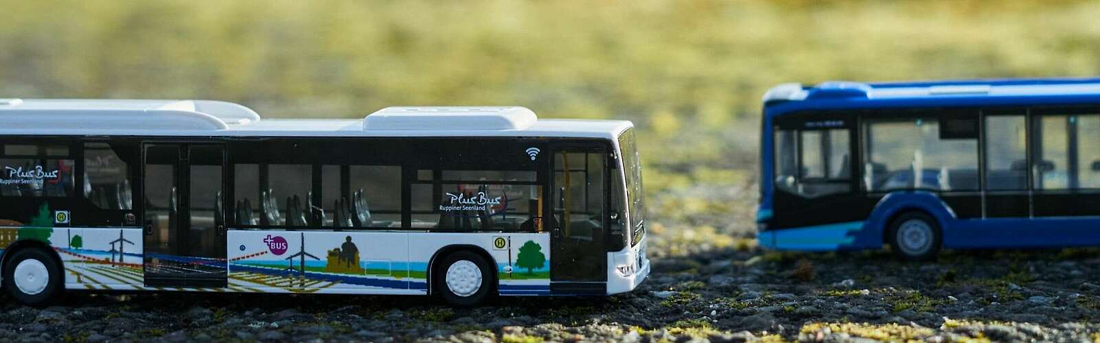 Busse im Ruppiner Seenland,
            
        
                Foto: Tourismusverband Ruppiner Seenland e.V./Jannika Olesch