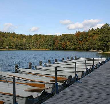 Der Stechlinsee bei Neuglobsow
