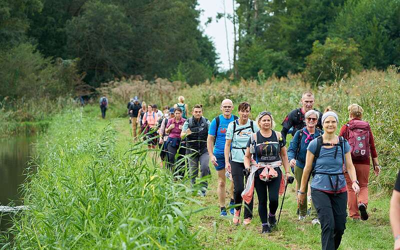 <p>Eine Gruppe aus zahlreichen sportlich gekleideten Menschen wandert in Reihe hinter Schilf entlang.</p>