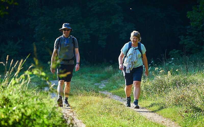 



    
        
                Wanderer im Sommer,
            
        
                Foto: Tourismusverband Ruppiner Seenland e.V./Thomas Janowitz
            
    

