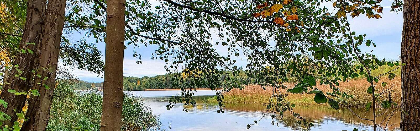 Herbstliches Flussufer,
            
        
                Foto: Tourismusverband Ruppiner Seenland e.V./Doreen Balk
