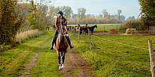 Reiten