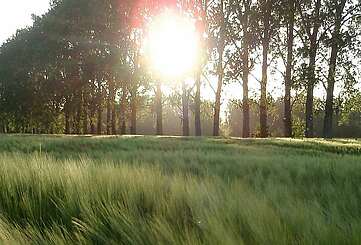 Pure nature