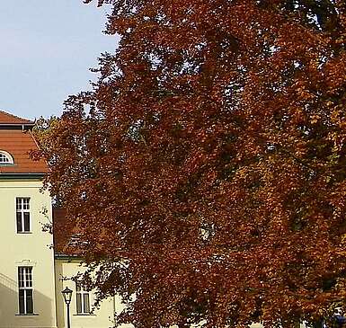 Seehaus Liebenberg