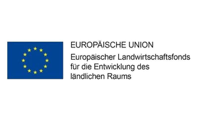 Logo Europäische Union