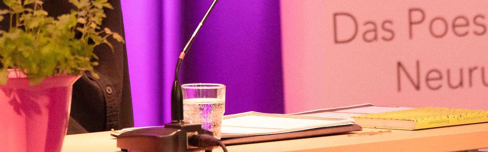 Pop und Petersilie 2024 Poesiefestival in Neuruppin Fontanekosmos Literatur Lyrik Lesung