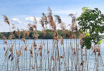 Der Ruppiner See