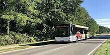 Saisonbusse