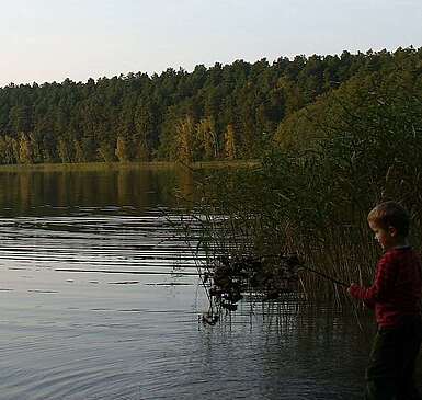Der Roofensee