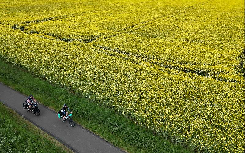



    
        
                mit dem Fahrrad vorbei an Rapsfeldern,
            
        
                Foto: Tourismusverband Ruppiner Seenland e.V./Thomas Widerin
            
    
