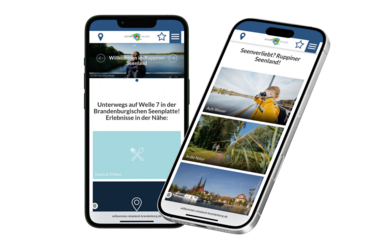Infos übers Smartphone