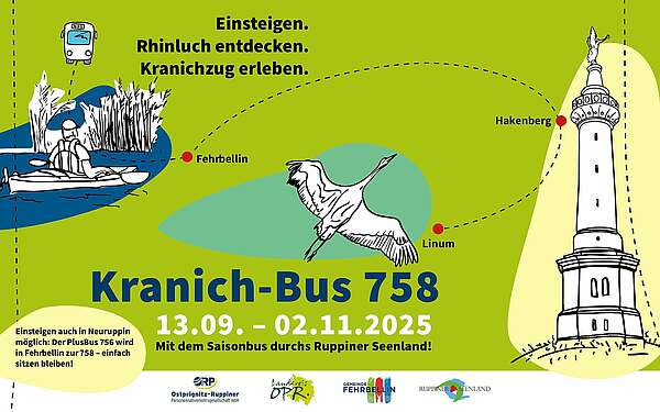 Kranich-Bus