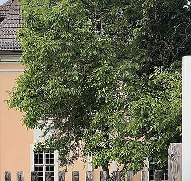 Gutshaus Zernikow