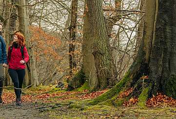 Kleine und große Wanderungen