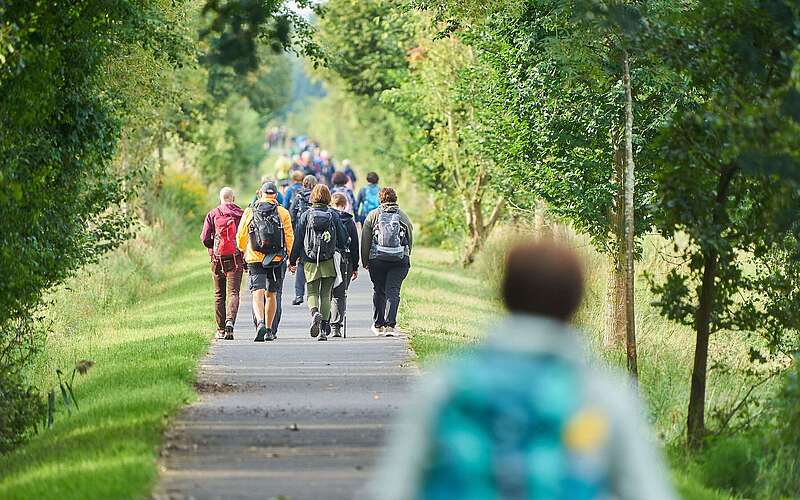 <p>Eine Gruppe aus zahlreichen sportlich gekleideten Menschen wandert in Reihe über einen asphaltierten Radweg. Das Foto zeigt die Wanderer von hinten.</p>