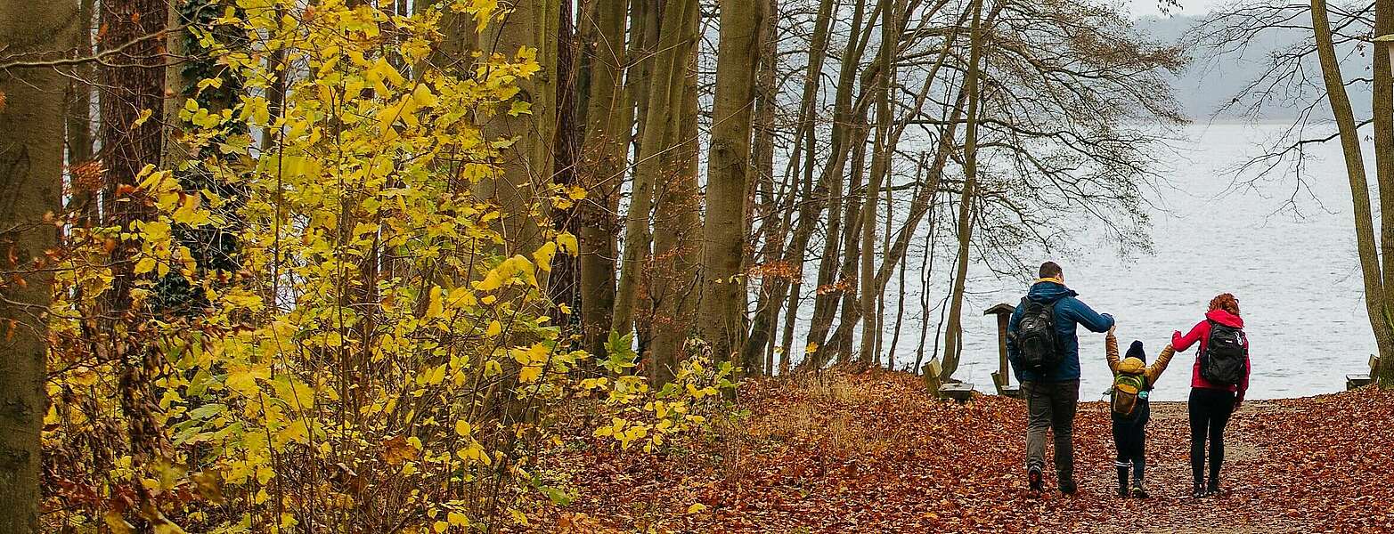 Herbstliche Wanderung mit der Familie,
        
    

        Picture: Tourismusverband Ruppiner Seenland e.V./Julia Nimke