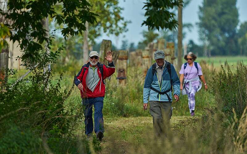 <p>Eine Gruppe von sportlich gekleideten Wanderern läuft durch eine grüne Landschaft mit hohem Gras und Bäumen. Der linke Wanderer winkt in die Kamera.</p>