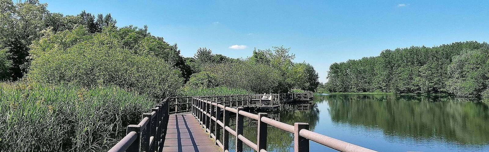 Mühlensee in Vehlefanz