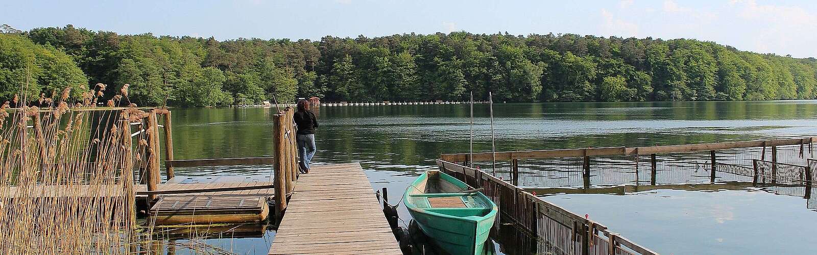 Der Glasklare Stechlinsee