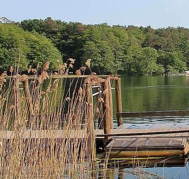 Der Glasklare Stechlinsee
