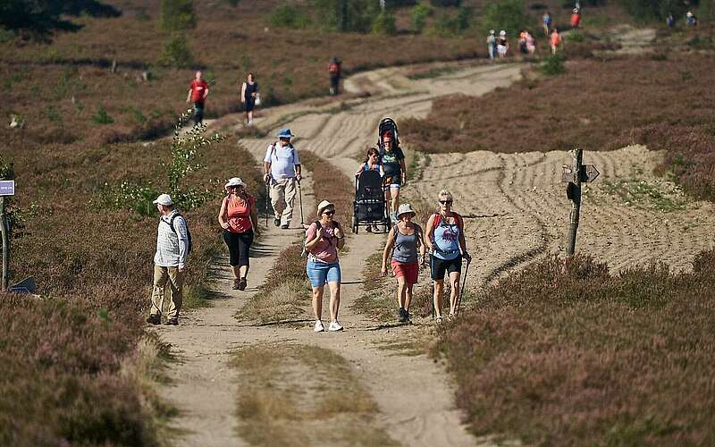



    
        
                Fontane-Wandermarathon 2023,
            
        
                Foto: Tourismusverband Ruppiner Seenland e.V./Thomas Janowitz
            
    
