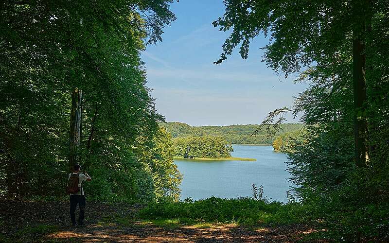 



    
        
                Wanderer am Zanderblick am Tornowsee,
            
        
                Foto: Tourismusverband Ruppiner Seenland e.V./Thomas Janowitz
            
    
