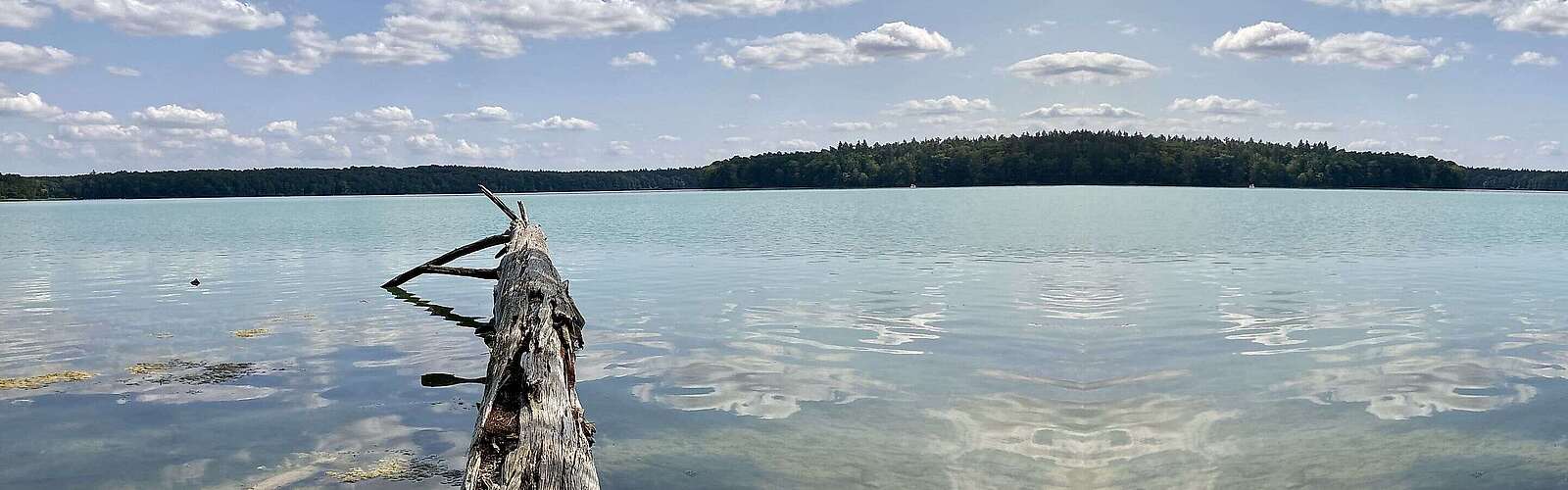 Der glasklare Stechlinsee