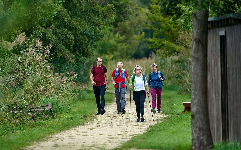 <p>Eine Gruppe an sportlich gekleideten Wanderern auf einem Pfad zwischen Schilf und Bäumen.</p>