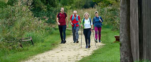 <p>Eine Gruppe an sportlich gekleideten Wanderern auf einem Pfad zwischen Schilf und Bäumen.</p>