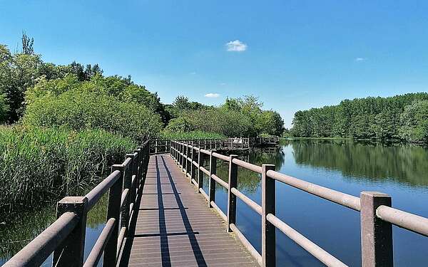 Wanderung auf dem Steg am Mühlensee