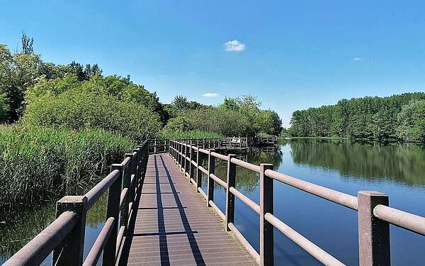 Wanderung auf dem Steg am Mühlensee