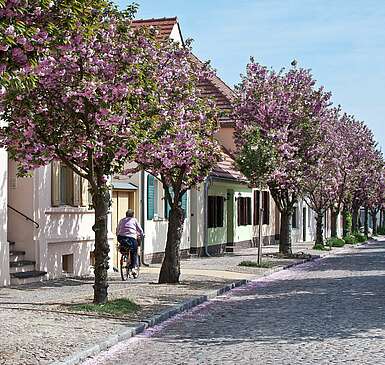 Werder (Havel)