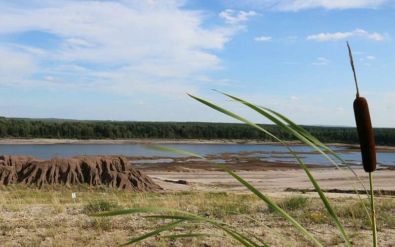 



    
        
                Grünhauser See,
            
        
                Foto: NABU - Naturschutzbund Deutschland/Stefan Röhrscheid
            
    

