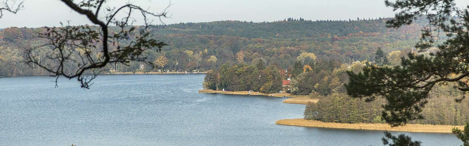 Schermützelsee bei Buckow,
            
        
                Foto: TMB Tourismus-Marketing Brandenburg GmbH/Steffen Lehmann