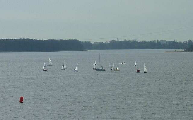 Segelboote auf dem Ruppiner See