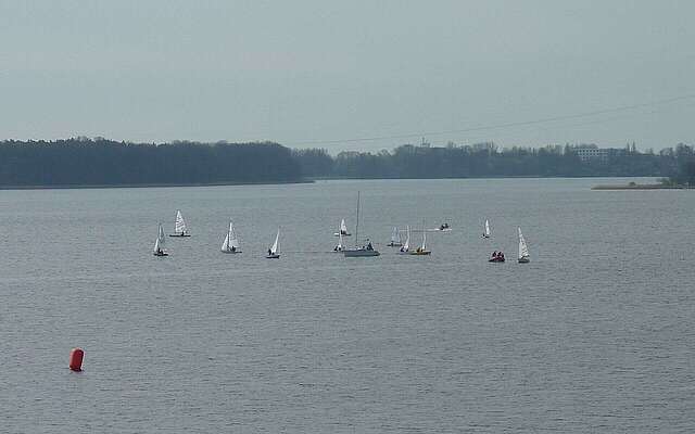Segelboote auf dem Ruppiner See