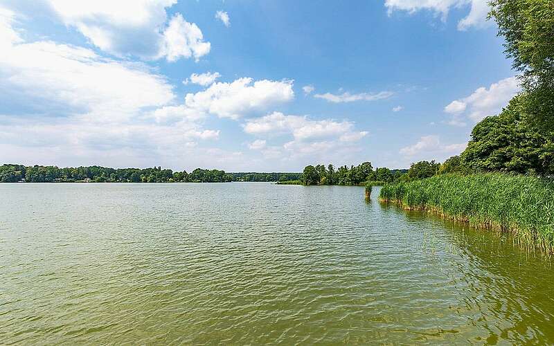 



    
        
                Teupitzer See,
            
        
                Foto: TMB Tourismus-Marketing Brandenburg GmbH/Steffen Lehmann
            
    

