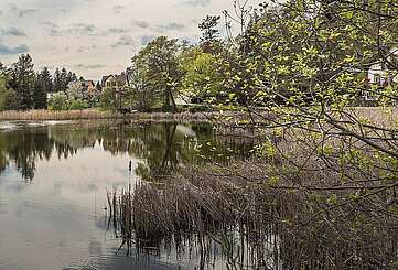 Waldsieversdorf