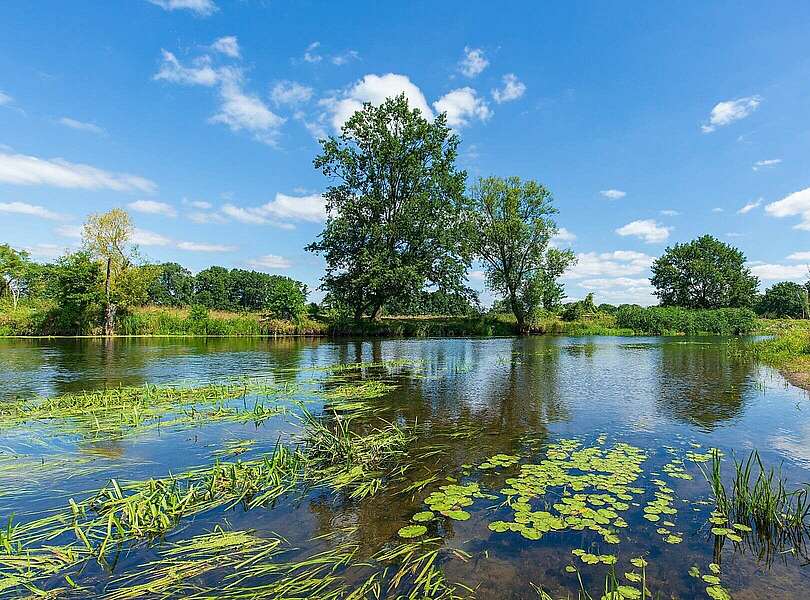 Müggelspree