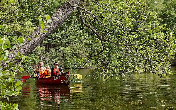 Familien-Kanutour im Naturpark Dahme-Heideseen