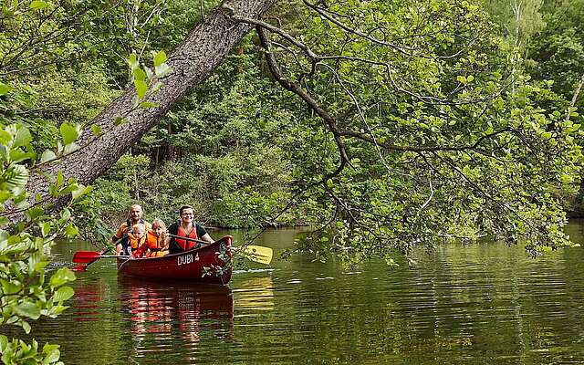 Familien-Kanutour im Naturpark Dahme-Heideseen