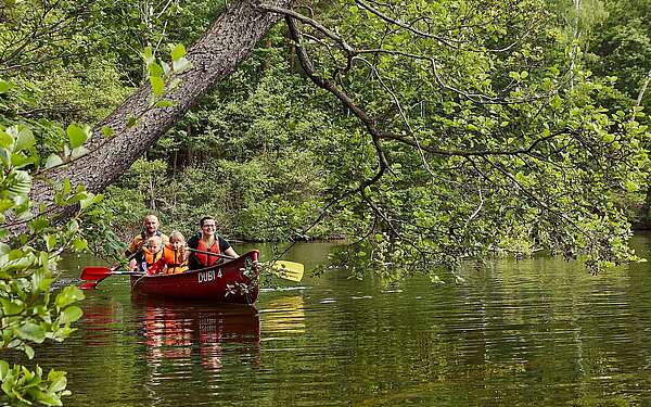 Familien-Kanutour im Naturpark Dahme-Heideseen