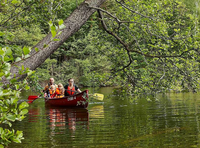 Familien-Kanutour im Naturpark Dahme-Heideseen