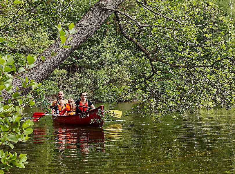 Familien-Kanutour im Naturpark Dahme-Heideseen