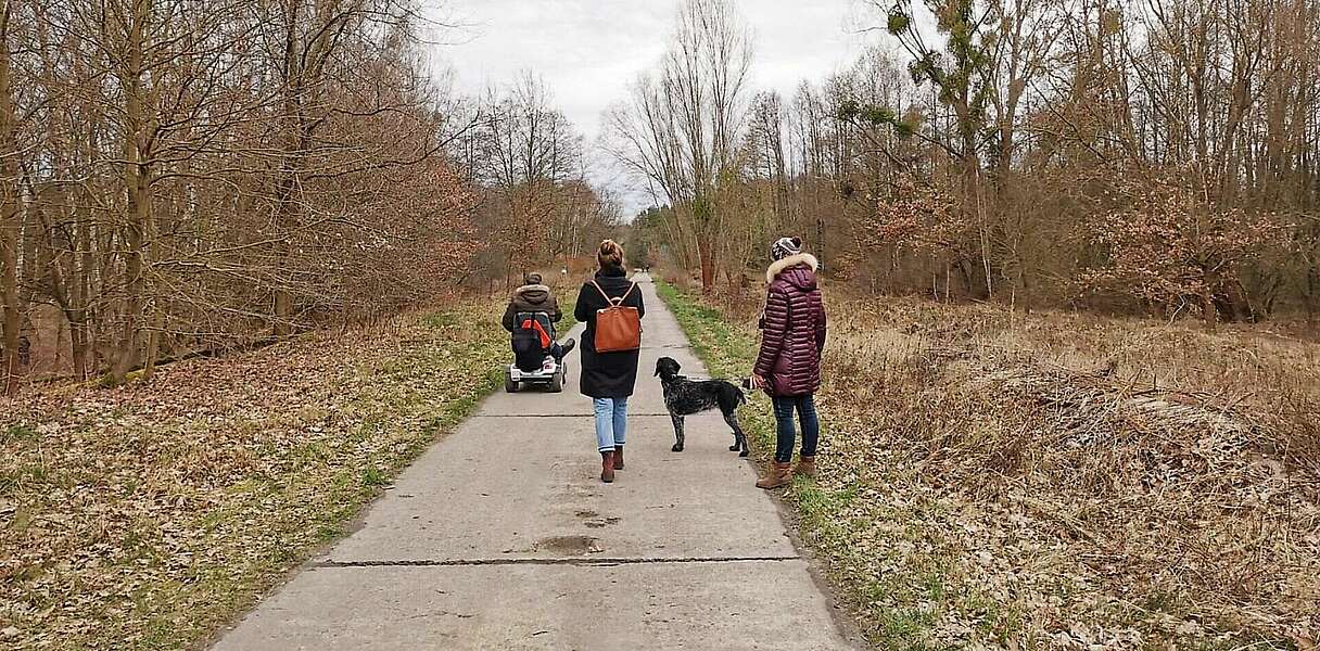 Auf dem Weg zum Wildgehege Glauer Tal