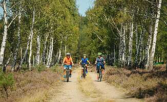 Radtouren für Familien